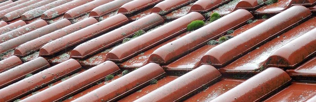 Des tuiles équipées de réservoirs pour stocker l'eau de pluie sur les toitures