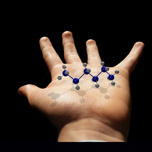 Ermium Therapeutics, à l’aube d’une percée dans le traitement des maladies auto-immunes