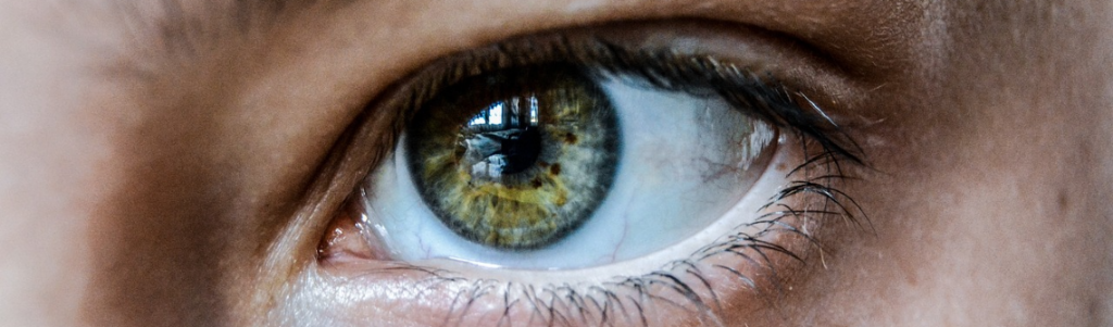Scanner son iris pour s’identifier : le projet à risque du créateur de ChatGPT