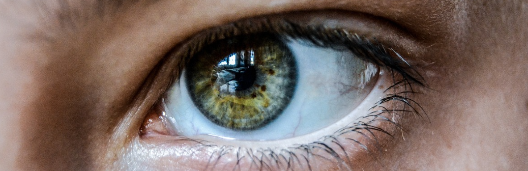 Scanner son iris pour s’identifier : le projet à risque du créateur de ChatGPT