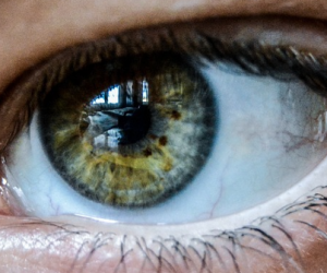 Scanner son iris pour s’identifier : le projet à risque du créateur de ChatGPT