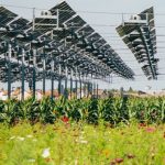 Photovoltaïque et agriculture se marient à Brouchy