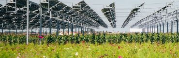 Photovoltaïque et agriculture se marient à Brouchy