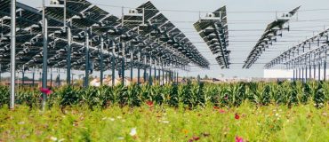 Photovoltaïque et agriculture se marient à Brouchy