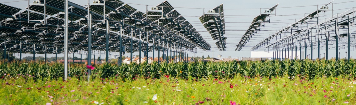 Photovoltaïque et agriculture se marient à Brouchy