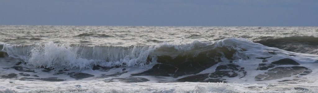 Seaturns : Valoriser l'énergie de la houle pour produire de l'électricité