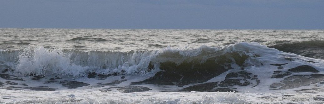 Seaturns : Valoriser l'énergie de la houle pour produire de l'électricité