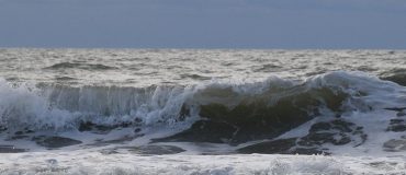 Seaturns : Valoriser l'énergie de la houle pour produire de l'électricité