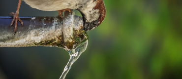 Des « polluants éternels » dans l’eau potable ?