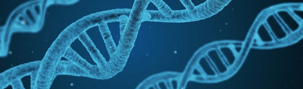 Un nouvel espoir dans le traitement des cancers du sein et de l’ovaire