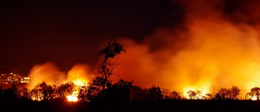 Comment l’IA permet de détecter plus rapidement les incendies