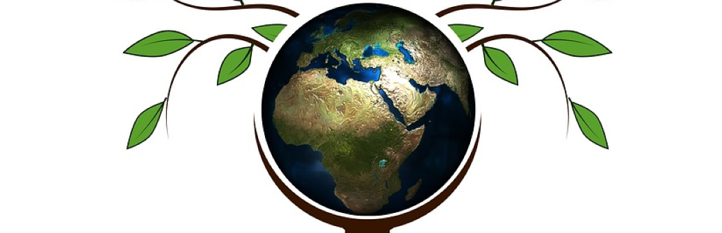 La COP28, un tournant décisif pour respecter l’Accord de Paris ?