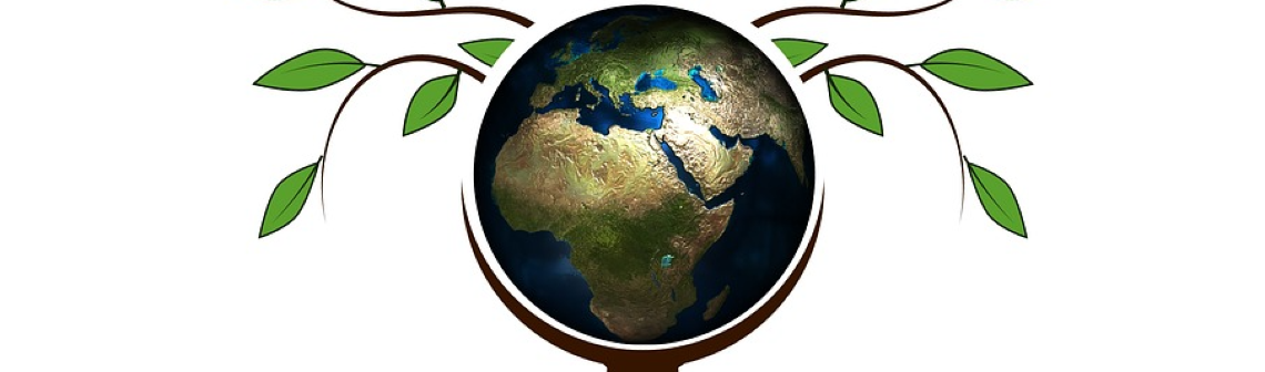 La COP28, un tournant décisif pour respecter l’Accord de Paris ?