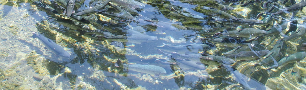 Coldep insuffle un air nouveau dans le traitement de l’eau