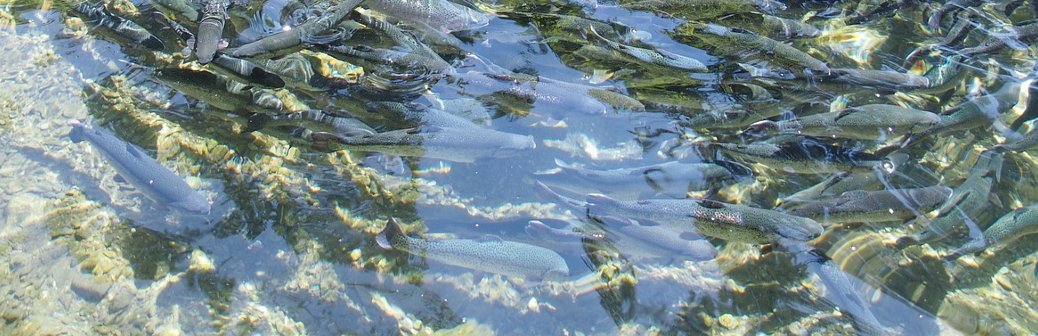 Coldep insuffle un air nouveau dans le traitement de l’eau