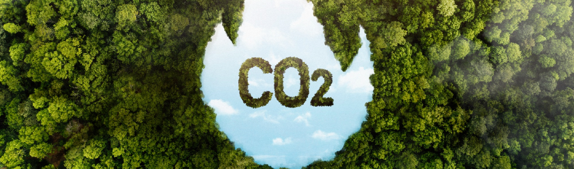 Les émissions de CO2 liées à l’énergie toujours en hausse - Crédit : freepik