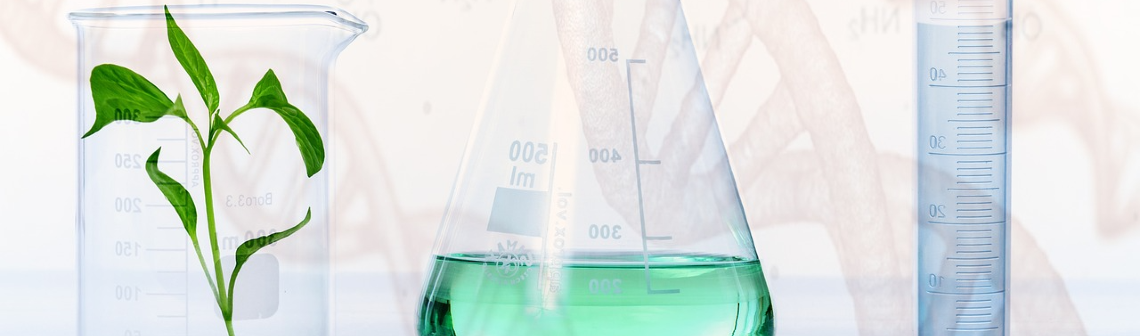 Plantes NTG : les discussions avancent au niveau européen