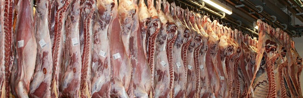 Augmenter la température dans les usines agroalimentaires pour réaliser des économies d'énergie