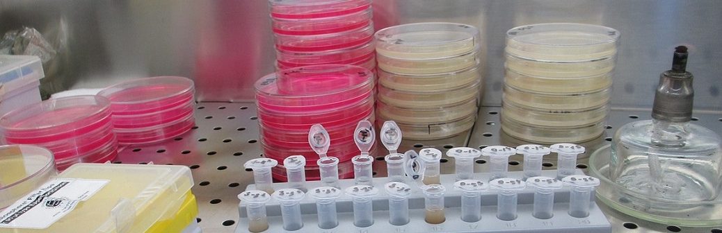 Spore.bio accélère les tests bactériologiques