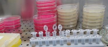 Spore.bio accélère les tests bactériologiques