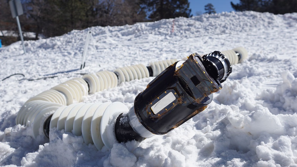 Le robot EELS lève la tête durant un test de terrain enneigé sur une station de ski EELS-Big-Bear