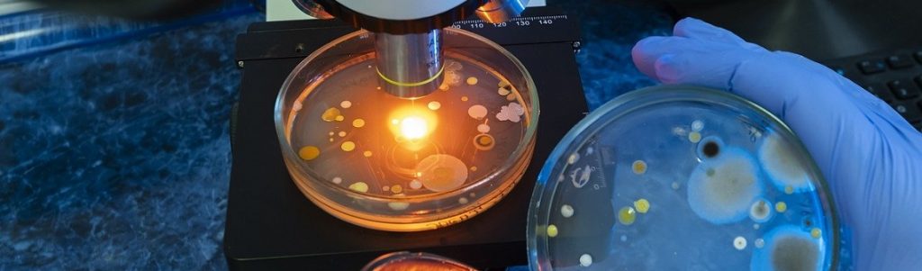 L’IA, nouvelle arme dans la lutte contre la résistance aux antimicrobiens