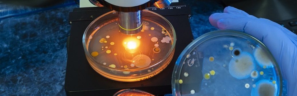 L’IA, nouvelle arme dans la lutte contre la résistance aux antimicrobiens