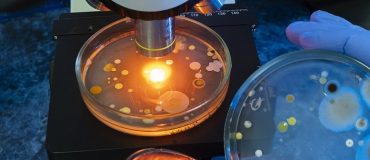 L’IA, nouvelle arme dans la lutte contre la résistance aux antimicrobiens