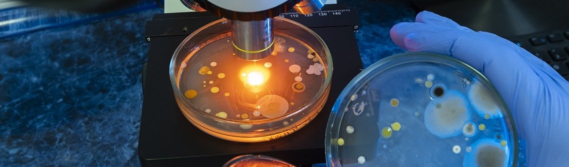 L’IA, nouvelle arme dans la lutte contre la résistance aux antimicrobiens