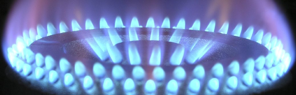 Nous n’avons aucune visibilité sur les sources d’approvisionnement en gaz alternatifs