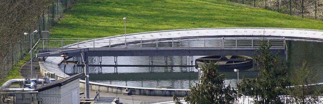 Un procédé de biofiltration à base de champignons pour dégrader le méthane