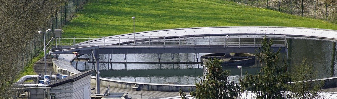 Un procédé de biofiltration à base de champignons pour dégrader le méthane