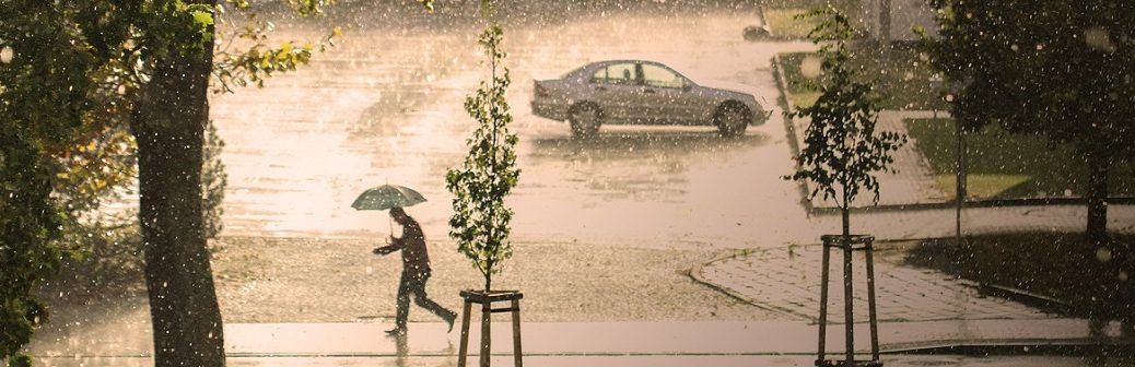 météo-france, pluviométrie, canicule