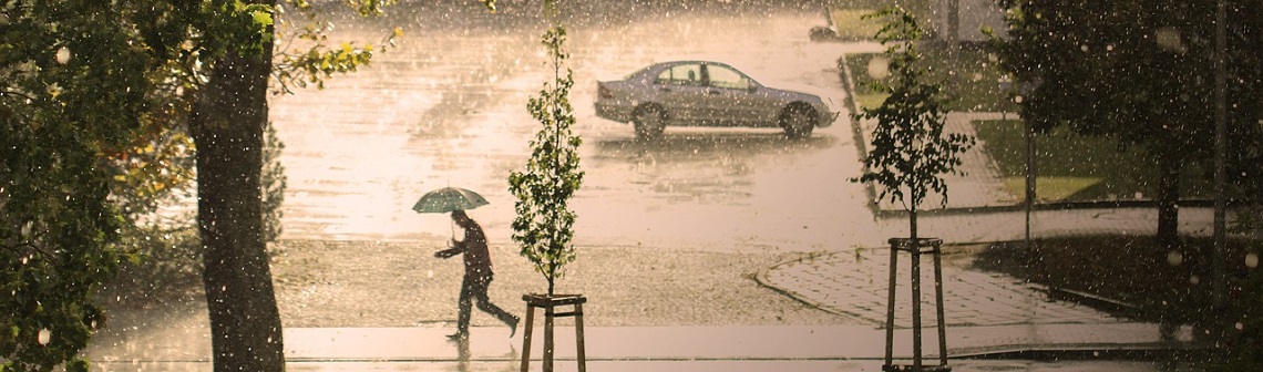 météo-france, pluviométrie, canicule