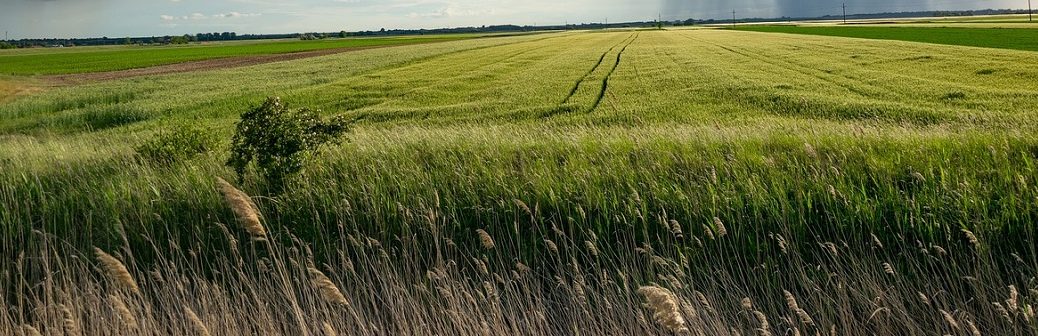 climat, hcfc, azote, gaz effet de serre