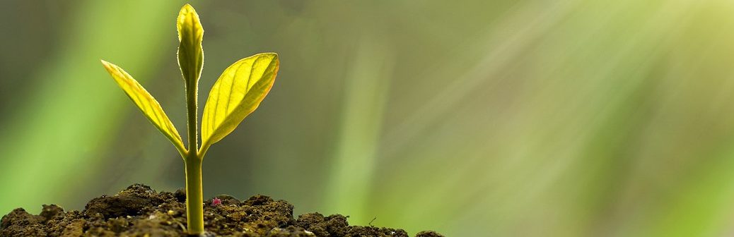 Les premiers effets du plan d'investissement France 2030 déjà visibles