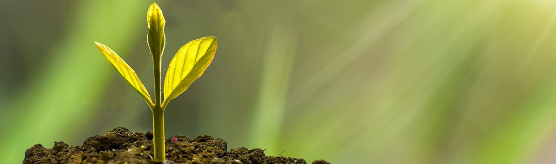 Les premiers effets du plan d'investissement France 2030 déjà visibles