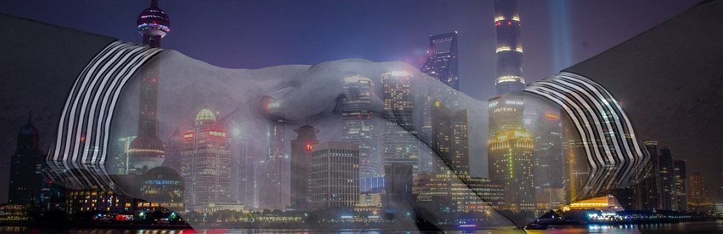 douane, véhicule électrique, chine