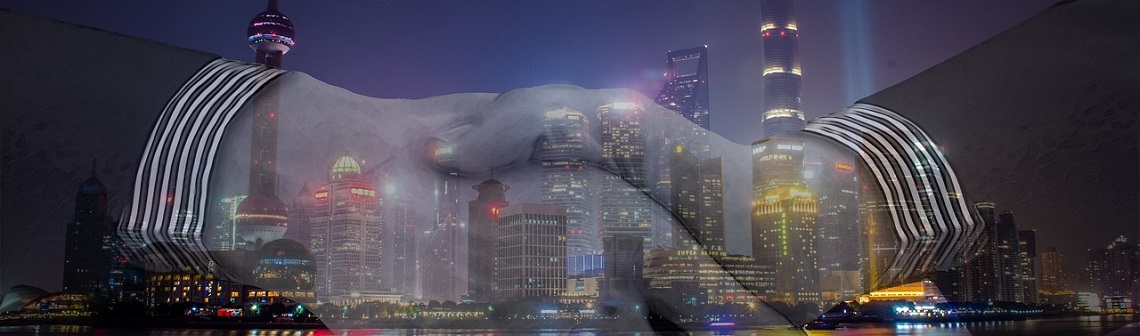 douane, véhicule électrique, chine