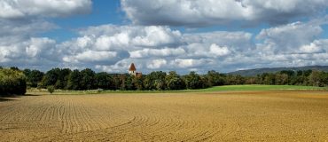 Décarboner l'UE nécessiterait 2,2% des terres, selon une étude