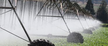 Mégabassines : une solution controversée pour la gestion de l'eau en agriculture