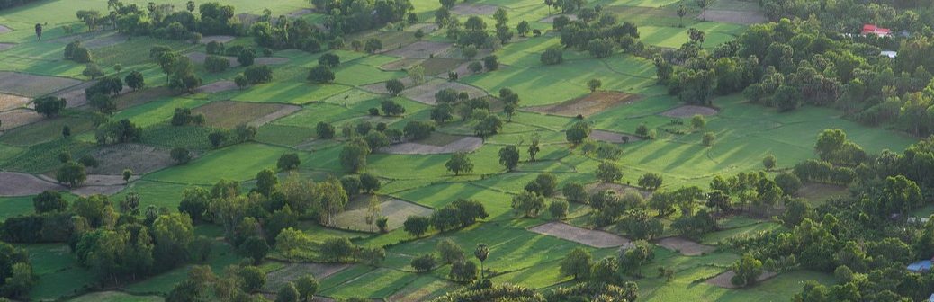 Des prédictions micro-météorologiques à l'échelle de la parcelle agricole