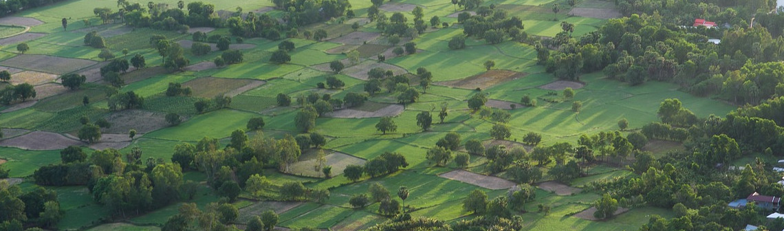 Des prédictions micro-météorologiques à l'échelle de la parcelle agricole