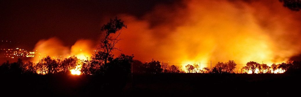 Mégafeux : des émissions record de CO2 enregistrées en 2023-2024