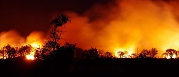 Mégafeux : des émissions record de CO2 enregistrées en 2023-2024