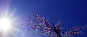 France à +4°C : la canicule de 2003 sera routinière