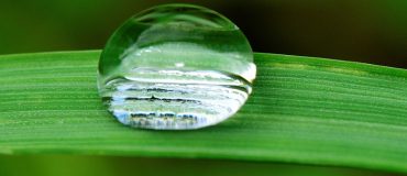 « Il faut revenir sur les hypothèses de travail retenues pour évaluer la consommation d’eau du secteur agricole »