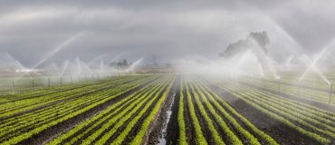 L’agriculture et le textile face à la raréfaction de la ressource eau