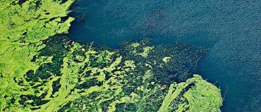 Traiter et dépolluer l'eau : une nécessité industrielle et sociétale