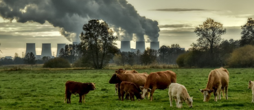 Renforcer les engagements pour éviter les +3,1°C